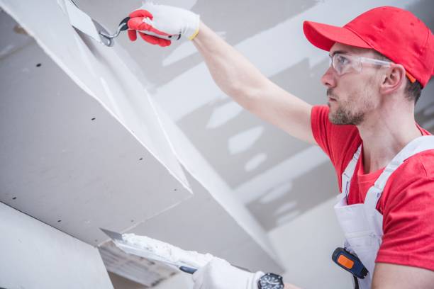 Best Drywall Sanding and Smoothing  in Hollywood, FL